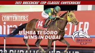 2023 Breeders’ Cup | Japan Contenders | Ushba Tesoro