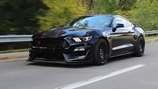 A Mustang Worth $80,000!? | Shelby GT350R Review!
