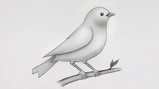 Simple Bird Drawing | Easy Pencil Sketch and Shading #drawing