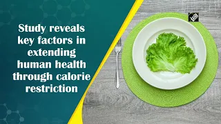 Study reveals key factors in extending human health through calorie restriction