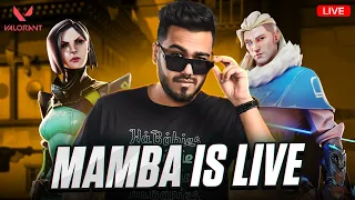 REGULAR O WHAT !!!??? | 8bit MAMBA LIVE