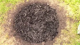 Biochar. Easy DIY bog-filter for the garden pond. VLOG 4 2024