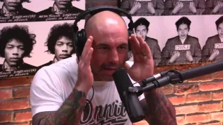 Joe Rogan & Dorian Yates on DMT and Ayahuasca