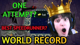 I Got a Minecraft Speedrun World Record in 1 ATTEMPT (All Portals in 11:32.650)