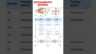 #opthalmology #mbbs Action of EXTRAOCULAR MUSCLES NEETPG