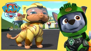 PAW Patrol Teams Up with the Cat Pack | PAW Patrol | Cartoons for Kids