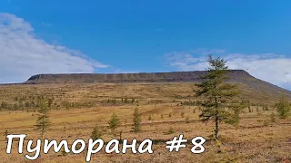 Путешествие через плато Путорана #8. "Херомошка". Пер "Двух каякеров". р Себяка. Медведь.Оз.Себяка.