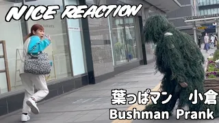 BEST #Bushman #Prank #JAPAN #葉っぱマン【ドッキリ】#ブッシュマンドッキリ動画日本🇯🇵#10