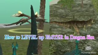 How to LEVEL up FASTER in Dragon Sim