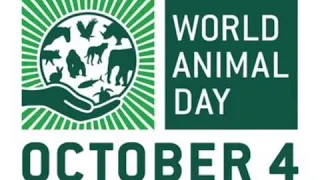 World Animals Day |October 4