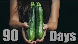 Growing Zucchini 🥒 90 Days Time Lapse