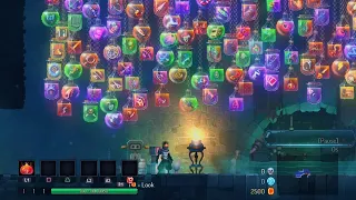 Dead Cells: Finally got all weapon and mutation blueprints (but not the outfits!)