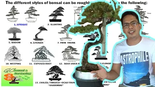 The different Styles of Bonsai (Explained)| [Beginner's Guide]