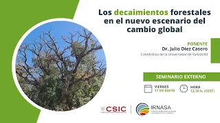 SEMINARIO EXTERNO | Los decaimientos forestales en el nuevo escenario del cambio global