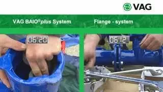 VAG BAIO®plus vs Flange EN