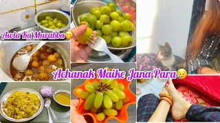 My Busy Routine ! 🥲 Aaj Awla Ka Murabba Bana Liya 😋 Easiest Awla Murabba Recipe ❤️ Daily Vlog !!