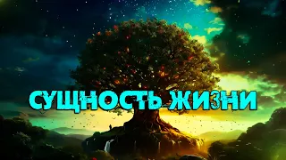 Сущность жизни | [NikOsho]