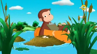 Zvědavý George 95 | S07E05 - Opičí med | Hledá vajíčka