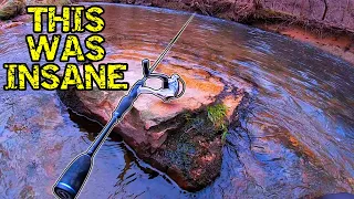 INSANE Creek Fishing For Trout (Winter Fishing Tips)