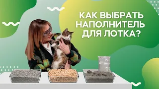 Какой наполнитель для кошачьего туалета выбрать? / Саша знает