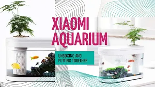 GEOMETRY FISH TANK AQUAPONICS ECOSYSTEM: Review of the Xiaomi Smart Aquarium