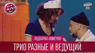 Три мушкетера и гасконь педальный - Трио Разные и ведущий | Лига Смеха