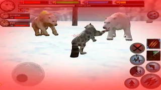 Snow leopard VS Polar Bear, Seal, Lynx, Penguin, Moose, Bighorn, Walrus #2