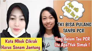 KATA MBOK CIKRAK TKI BISA PULANG TANPA PCR,TETAP DATANG KE BANDARA WALAU SENAM JANTUNG/APA ITU APA?