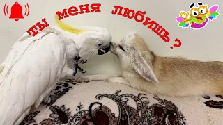 We can't live without each other. Мы не можем друг без друга