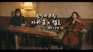 하울의 움직이는 성 ostㅣ인생의 회전목마(Merry Go Round of Life) - 첼로&가야금 @feelm