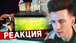 ХЕСУС СМОТРИТ: АКВАРИУМ ИЗ БУДУЩЕГО - 120 ДНЕЙ СПУСТЯ | SLIVKISHOW | РЕАКЦИЯ