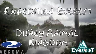 Expedition Everest 1080p 60fps Disney's Animal Kingdom On Ride POV