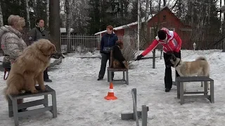 ТОП-5 ошибок недели. Выпуск 11.