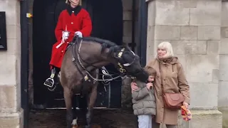Boy gets his ear bitten and pulled  by the horse. Kings guard gets the police to make sure he is ok