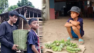 Poor boy harvests bananas to sell. A happy gift from a kind uncle