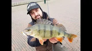 Dicke Barsche und Fette Hechte, die Pike 77, Big Bait und Perch 22 aus der Pro Staff Serie