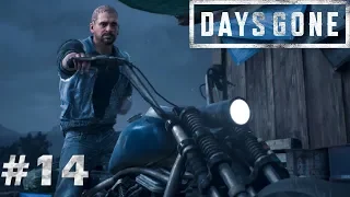 Прохождение на русском DAYS GONE (ЖИЗНЬ ПОСЛЕ) ► PS4 ► Часть #14