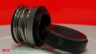 Mechanical seal Механічне ущільнення Торцевое уплотнение (сальник) Gleitringdichtung  R-16