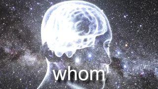 whomst.mp4