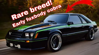 RARE BREED! Early Foxbody Cobra! 1980 Mustang Cobra!