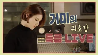 거미(Gummy)의 녹음실 갓 라이브 | #하고싶은말 #나는 (연속듣기)