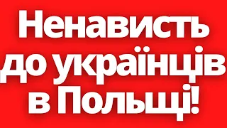 Зростаюча ненависть до українських біженців в Польщі!