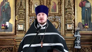 Проповедь иерея Дмитрия Шевченко