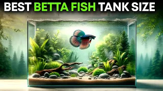 Best Betta Fish Tank Size (The wrong size can kill your fish!)