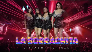 LA BORRACHITA STRAGO TROPICAL