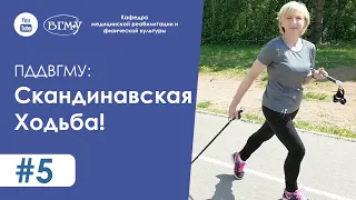 #5 ПДД: Правильное Движение и Дыхание : Скандинавская Ходьба!