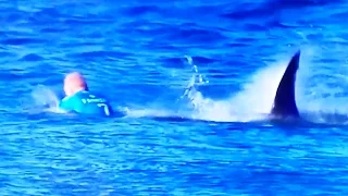 Mick Fanning attacked by sharks at J-Bay Open surfing final in South Africa