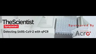 The-Scientist Symposium: Detecting SARS CoV 2 with qPCR