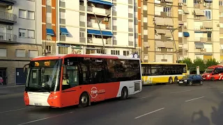 Circulación por la ciudad de Murcia autobuses TMP BUS Monbus y Movibus (Murcia)