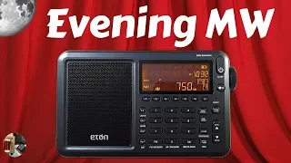 Eton Elite Executive Shortwave Radio Evening MW